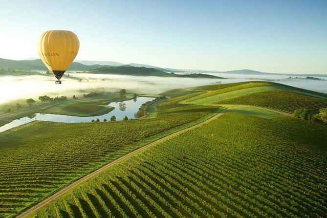 Half-Day or Full-Day Tour with Private Guide from Melbourne - Customization That Actually Changes Your Day