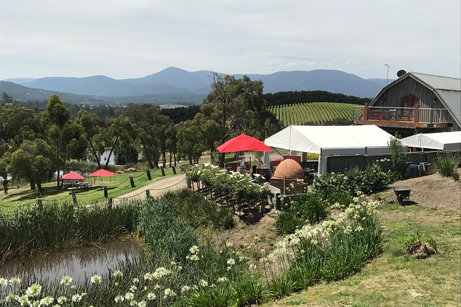 Half-Day or Full-Day Tour with Private Guide from Melbourne - Budget Notes: Tickets Are Included, Food Is Not