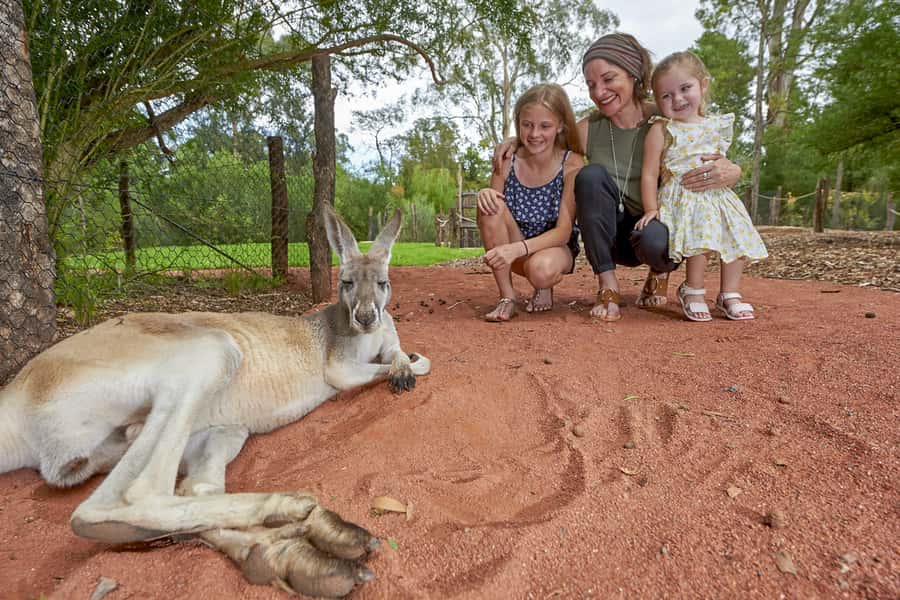 Healesville Sanctuary: General Admission Ticket - Key points to know before you go