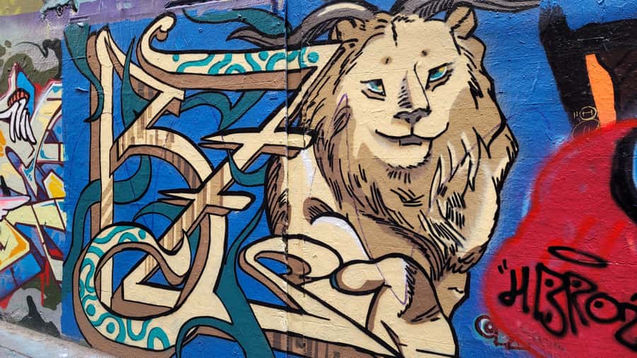 Icons of Melbourne Walking Tour - Historic churches and the communities behind the bricks