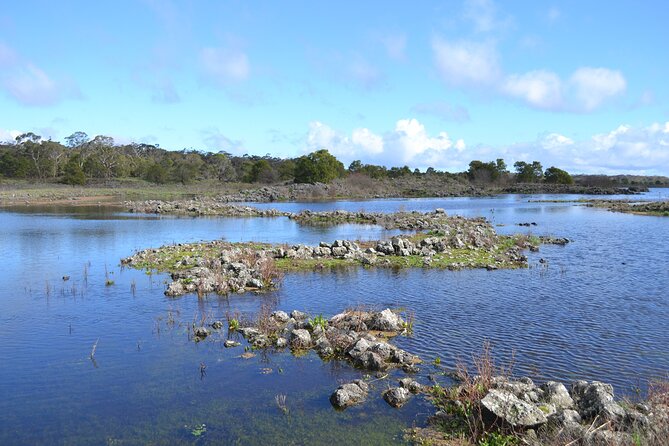 Kooyang Yana Full Day Tour - Budj Bim - Why Budj Bim matters for kooyang eel farming