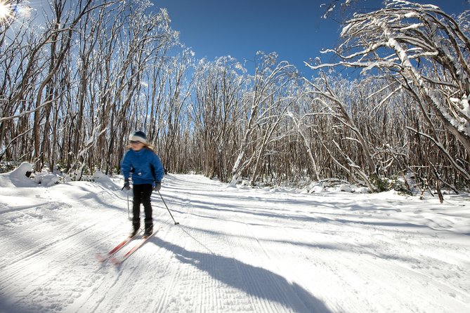 Lake Mountain Snow Trip including Yarra Valley Chocolaterie from Melbourne - Price and value: what $129.10 buys you