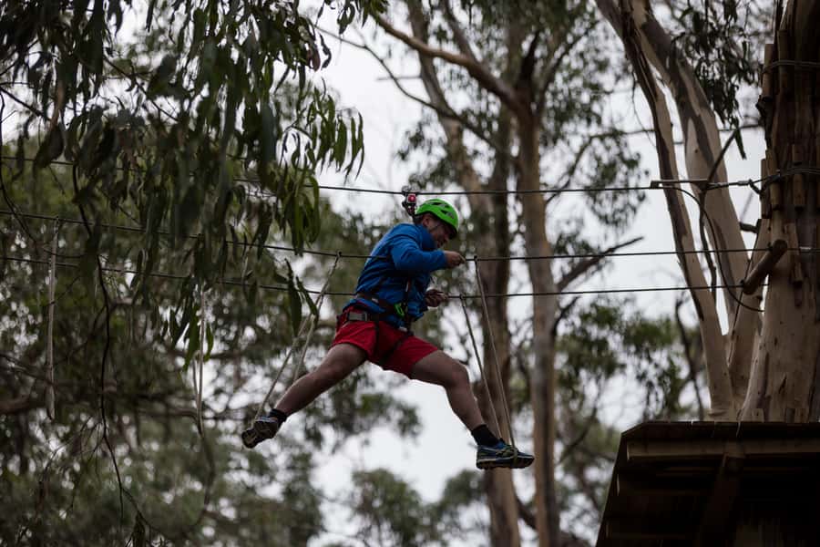 Lorne: Live Wire Park Super Circuit Ticket - Key things to know before you go