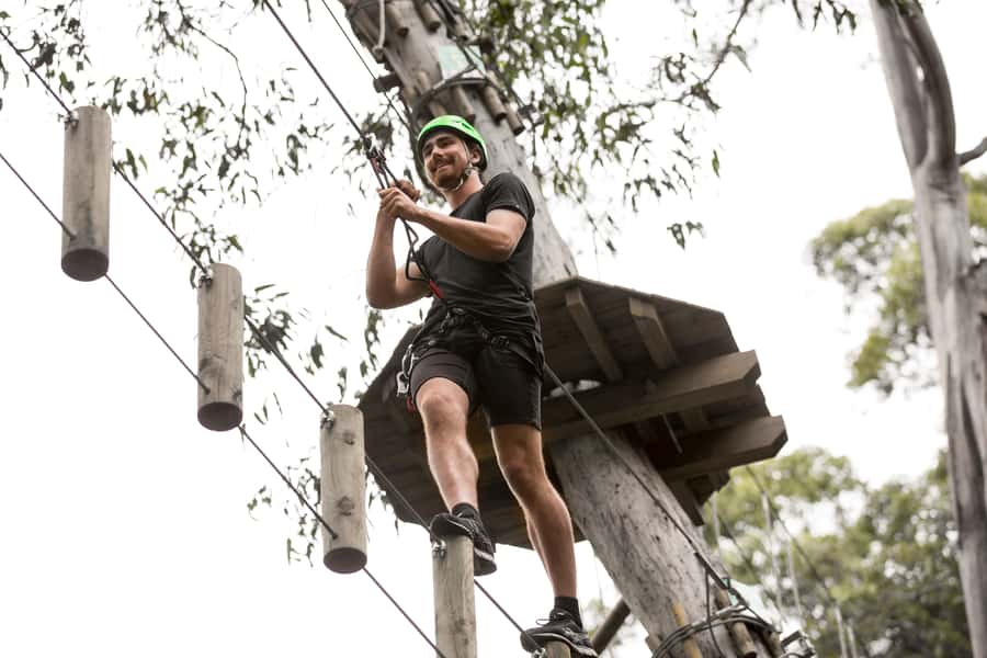 Lorne: Live Wire Park Super Circuit Ticket - Live Wire Park Super Circuit in Lorne: 2 Hours of 53 Trails and a Tarzan Swing