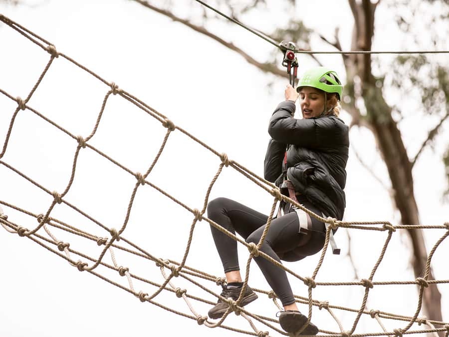 Lorne: Live Wire Park Super Circuit Ticket - What 53 Mid-Air Trails Mean for Your Body and Mind