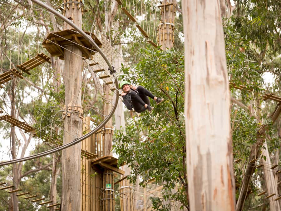 Lorne: Live Wire Park Ticket with Zip Line Rollercoaster - Key things to know before you go