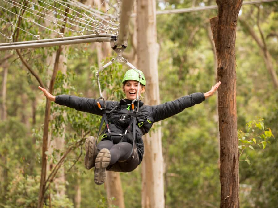 Lorne: Live Wire Park Ticket with Zip Line Rollercoaster - Entering Live Wire Park: Building 1 and the rainforest vibe