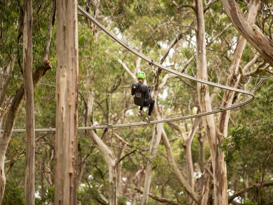 Lorne: Live Wire Park Ticket with Zip Line Rollercoaster - Spring Circuit trampolines: fun energy, included