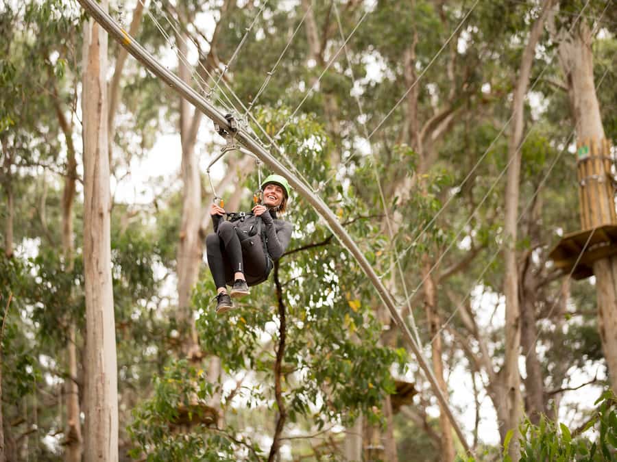 Lorne: Live Wire Park Ticket with Zip Line Rollercoaster - Shockwave ZipCoaster: the 525 meter tree rollercoaster