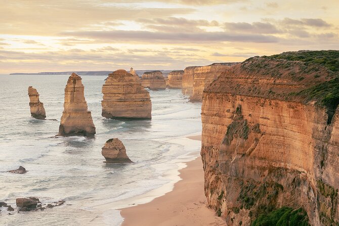 Lux Great Ocean Road Tour Reverse - Max 11 Hotel Pickup - Great Otway National Park: rainforest time, tall trees, and a calmer pace