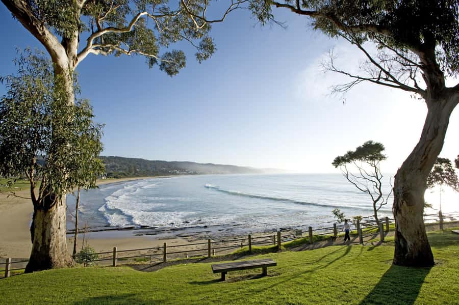 Luxe Bus Great Ocean Road Coastal Spectacular - Wildlife Wonders sanctuary: a 70-minute guided walk with headsets and binoculars