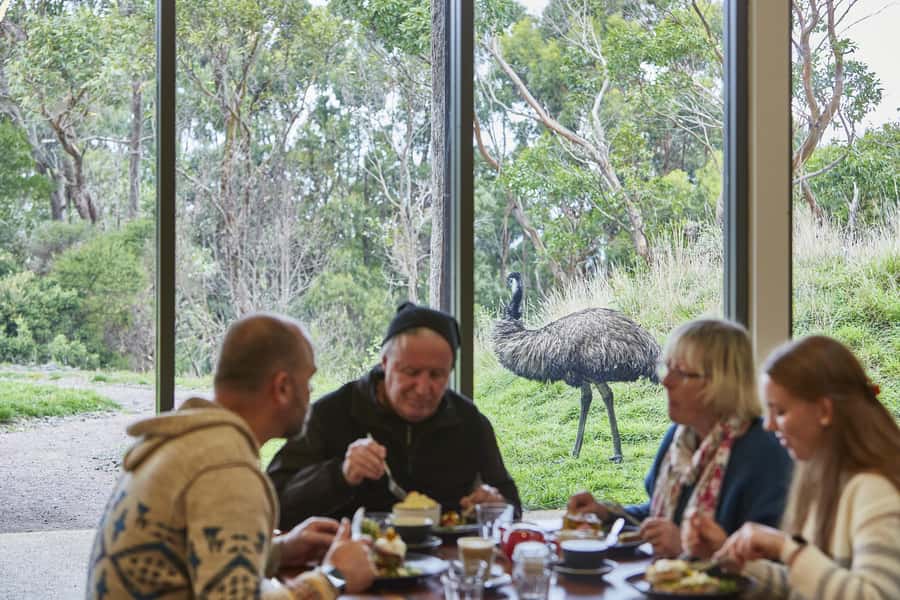 Luxe Bus Great Ocean Road Coastal Spectacular - Gorge Chocolates: chocolate tasting plus alpaca feeding near the Shipwreck Coast