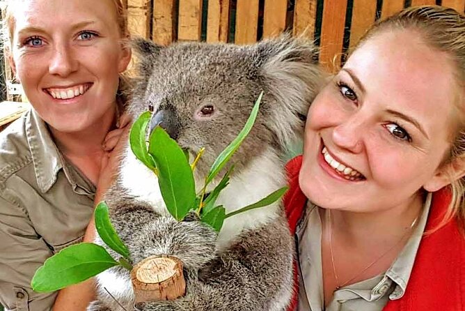 Luxury Phillip Island Tour for Families & Explorers [up to 10Pax] - Moonlit Sanctuary Wildlife Conservation Park: hand-feeding kangaroos and meeting koalas