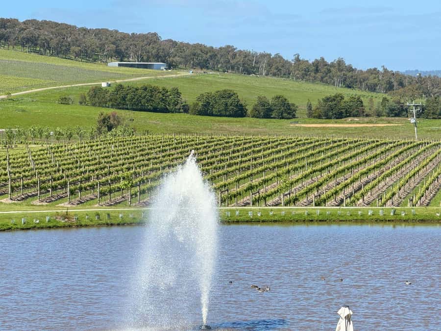 MEL: Private Yarra Valley Wine & Healesville Sanctuary Tours - Farm-fresh stops: Yarra Farm Fresh and Yarra Valley Dairy