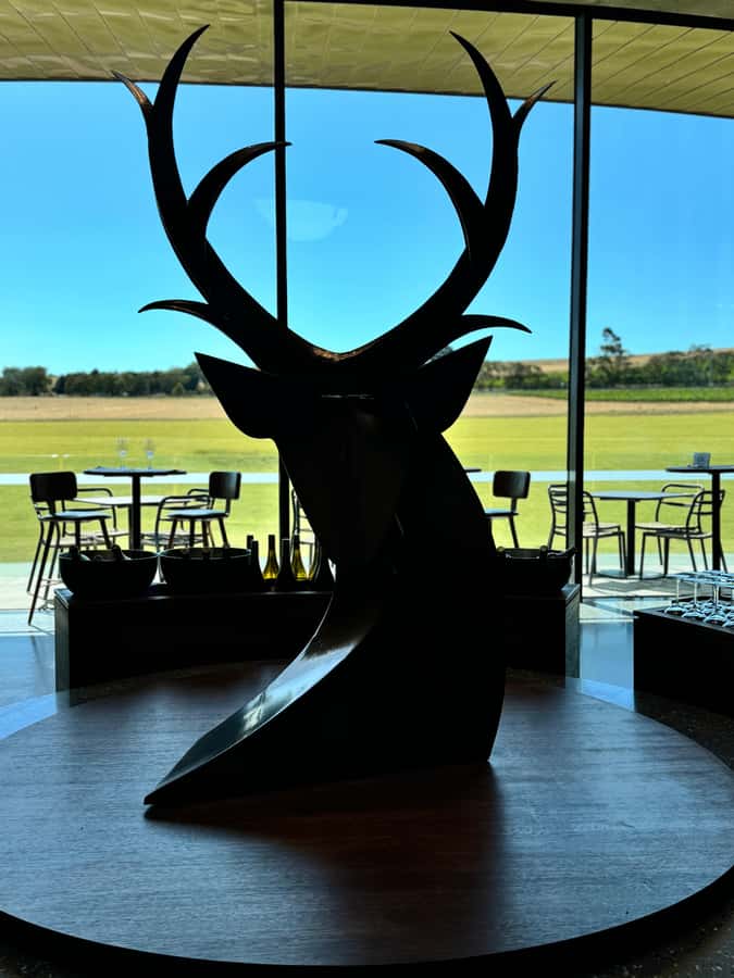MEL: Private Yarra Valley Wine & Healesville Sanctuary Tours - Healesville Sanctuary: wildlife viewing with actual context