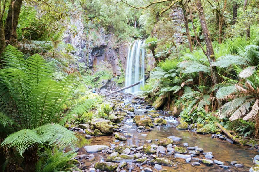 Melbourne: 12 Apostles, Otways & Great Ocean Road Day Tour - Early 12 Apostles views, without turning your day into a queue