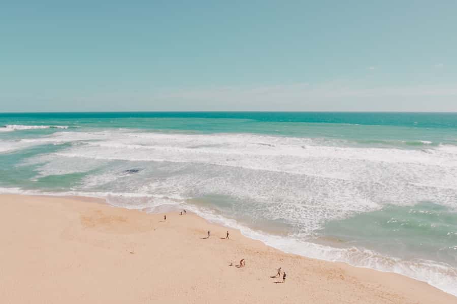 Melbourne: 12 Apostles, Otways & Great Ocean Road Day Tour - Redwood Forest: Californian giants on your way back to the road