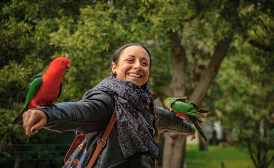 Melbourne: 12 Apostles Sunset Tour - Less Crowds - Food, timing, and what to pack for a long coast day