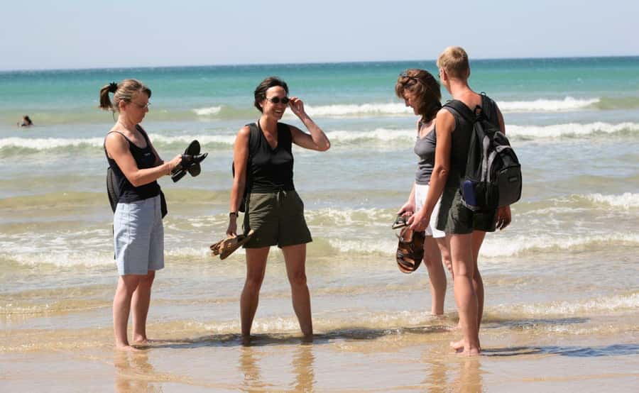 Melbourne: 12 Apostles Sunset Tour - Less Crowds - Who should book this sunset tour, and who might skip it
