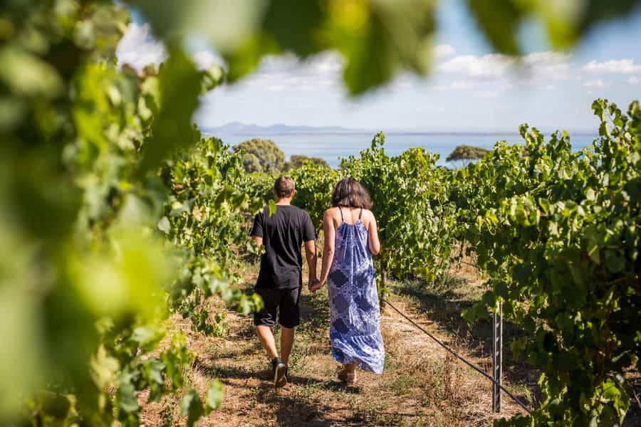 Melbourne: Around the Bay Food & Wine Taste Trail - Key things that make this taste trail special
