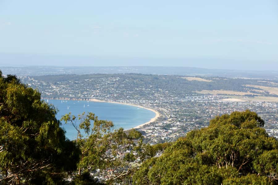 Melbourne: Around the Bay Food & Wine Taste Trail - Guides make or break a food day, and this one has strong ones