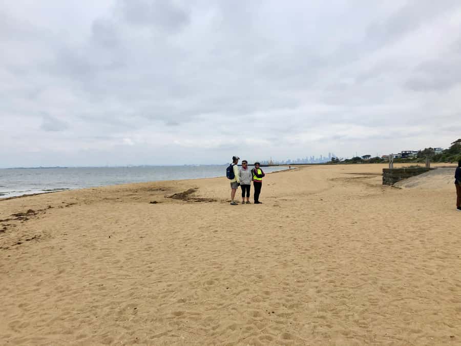 Melbourne: Bayside Bike Tour | Pedal into Local Seaside Life - Pedaling through Elwood and St Kilda without rushing past it