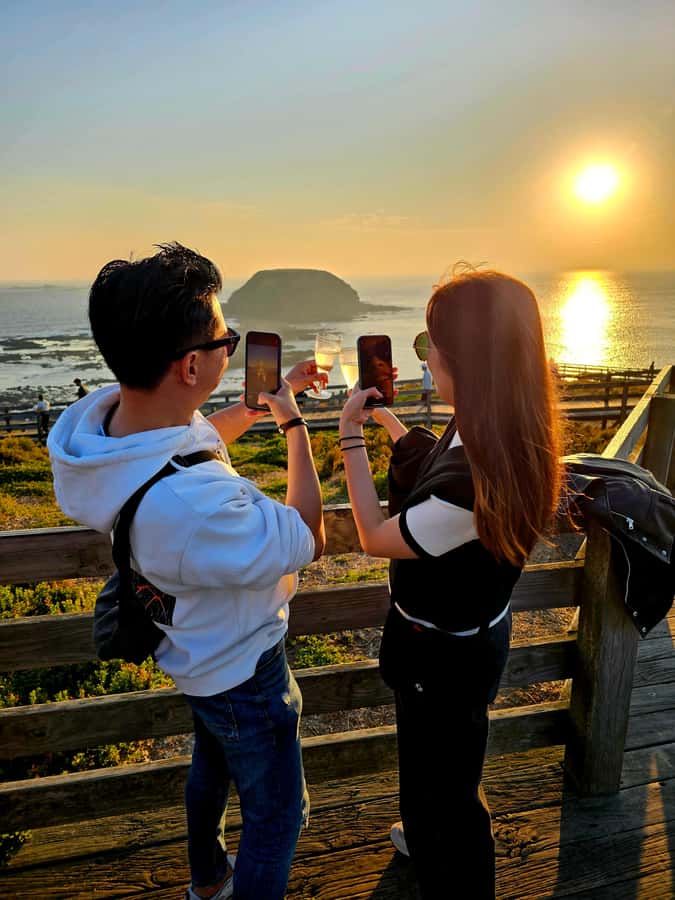 Melbourne: Boutique Phillip Island Wine, Dine & Penguin Tour - Key highlights to plan for
