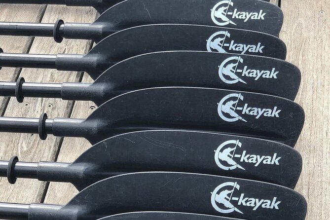 Melbourne City Sights Kayak Tour - How Hard Is the Paddling Really? Beginner-Friendly, Not Zero-Effort