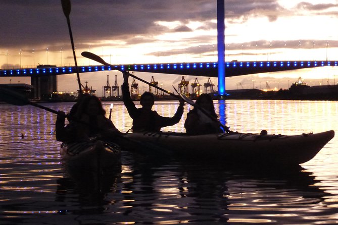 Melbourne City Twilight Kayak Tour - Upstream options: Royal Botanic Gardens, MCG, and Herring Island