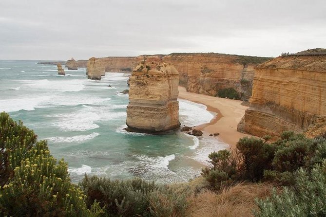 Melbourne Combo: Great Ocean Road Day Trip and Phillip Island Day Trip from Melbourne - Price and what $315.59 per person really buys you