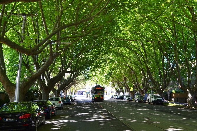 Melbourne Drive by Day - Private Tour - Stop 1, Shrine of Remembrance and the gardens approach