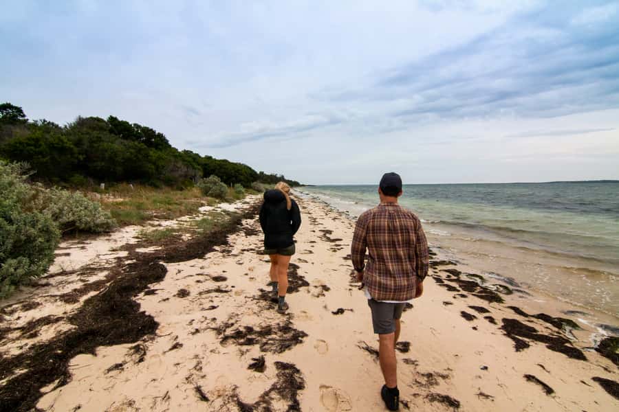 Melbourne: French and Phillip Island Wildlife Expedition - Point Grant (the Nobbies): seals, sea bluffs, and views worth the time