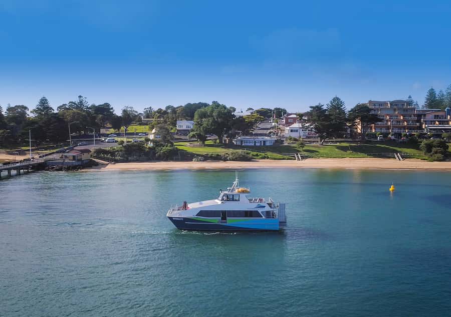 Melbourne: French and Phillip Island Wildlife Expedition - Getting to French Island: ferry views plus a wildlife mission