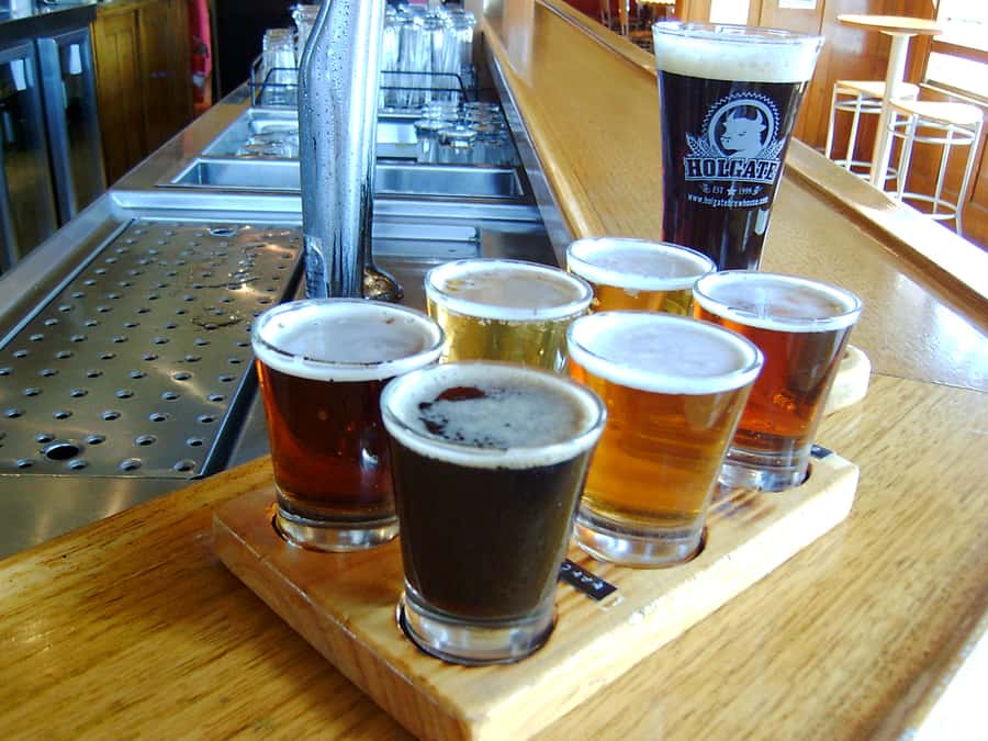 Melbourne: Full-Day Horses, Wine, and Beer Tour - Living Legends: retired champions, morning tea, and kangaroos