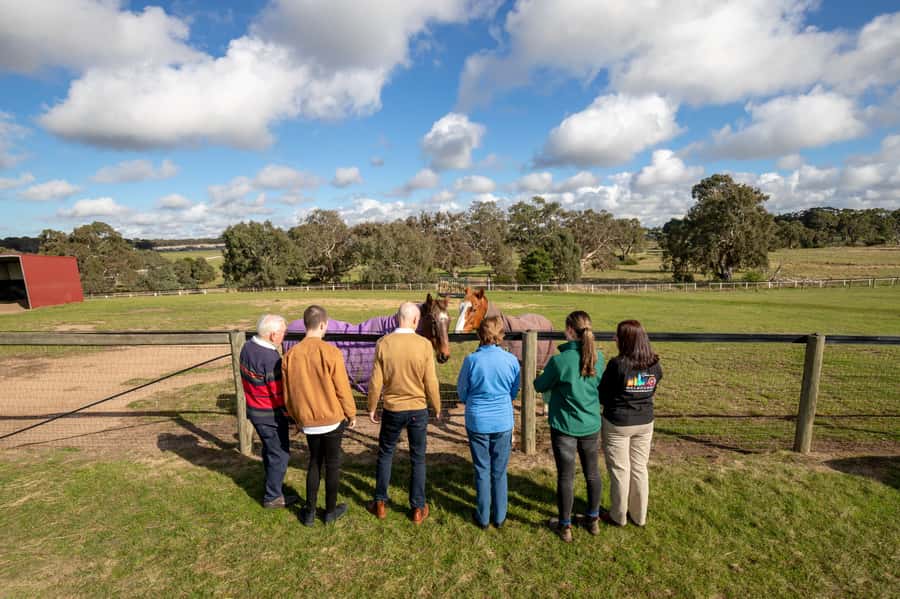 Melbourne: Full-Day Horses, Wine, and Beer Tour - Holgate Country Pub & Brewhouse: beer tasting with a classic Aussie pub feel