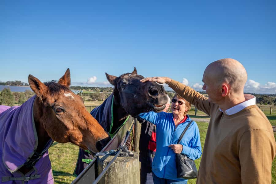 Melbourne: Full-Day Horses, Wine, and Beer Tour - Gisborne Peak Winery: cool-climate pours with a wood-fired pizza lunch