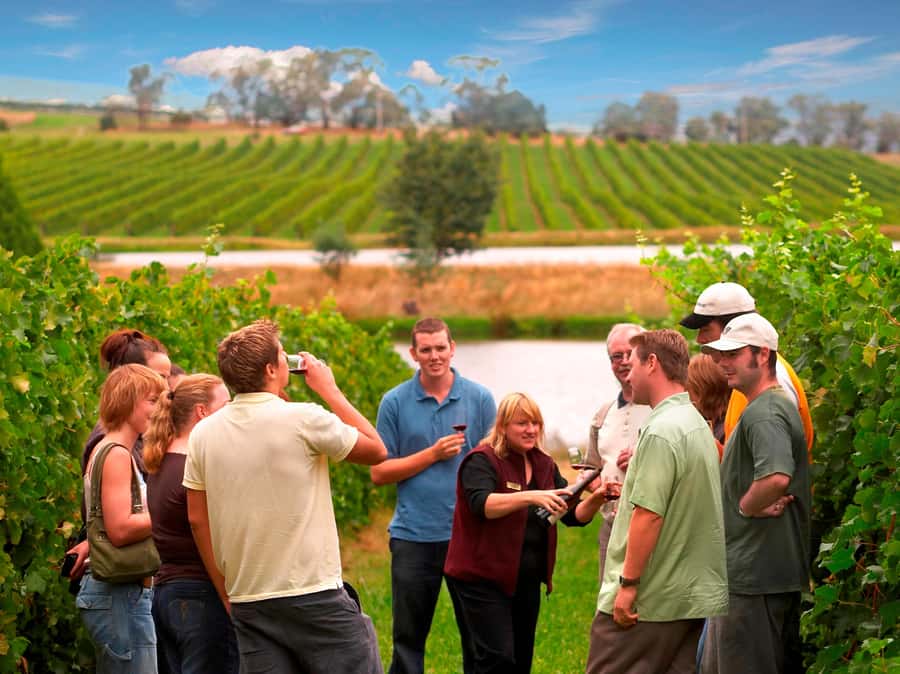Melbourne: Full-Day Yarra Valley Wine Experience with Lunch - Key Things You’ll Like Most