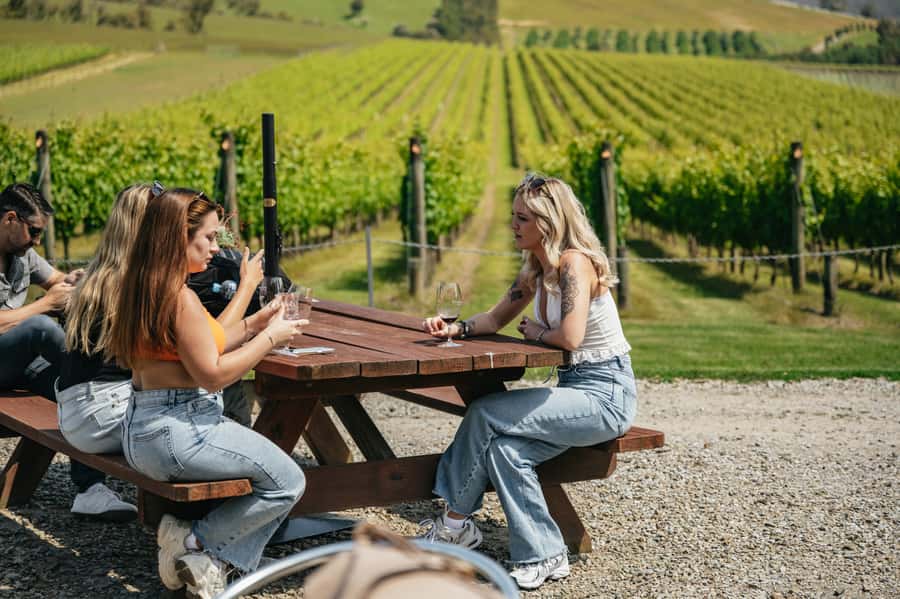 Melbourne: Full-Day Yarra Valley Wine Experience with Lunch - Greenstone Vineyards: The Swirl, Sniff, Slurp Start