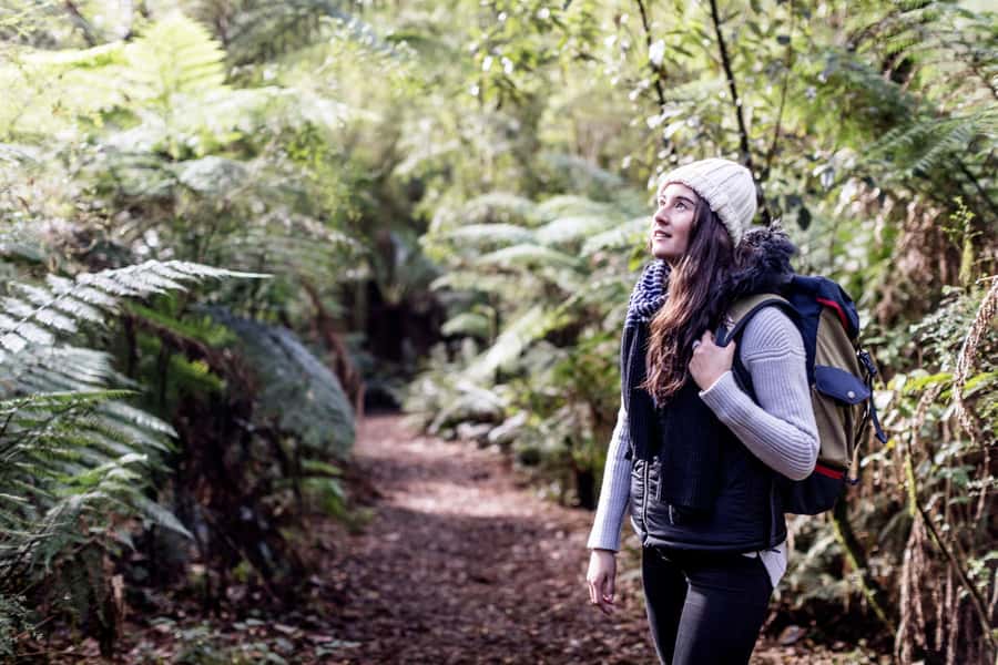 Melbourne: Great Ocean Road, 12 Apostles & Rainforest Tour - Great Otway National Park: guided walk for easy fitness and cool air