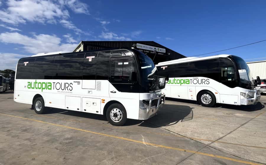 Melbourne: Great Ocean Road, 12 Apostles & Rainforest Tour - Value for $106: what’s included, what’s on you, and how to make it feel like a steal