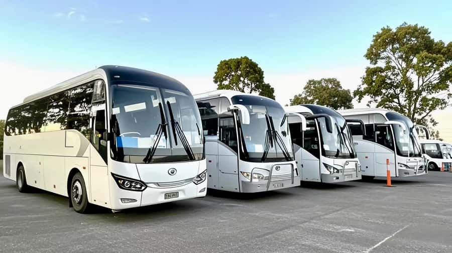 Melbourne Great Ocean Road Benz SmallGroup&LuxCoach BigGroup - Key highlights you will feel on day one