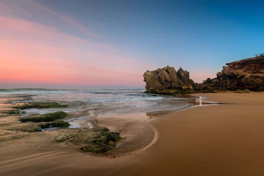 Melbourne: Great Ocean Road Day Tour with kangaroos & koalas - Key takeaways before you go