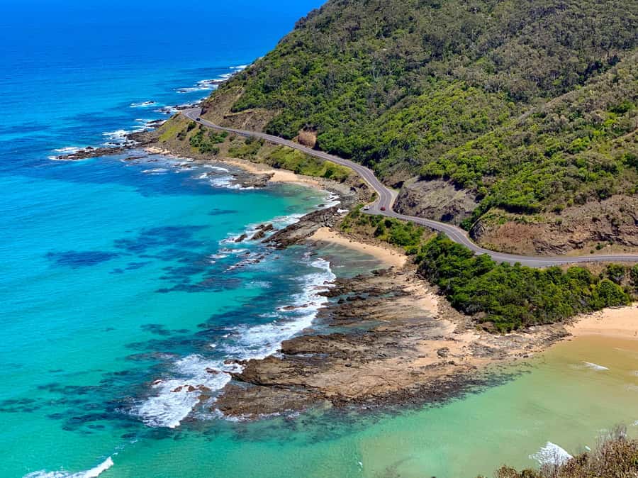 Melbourne: Great Ocean Road Extended–Top Stops&London Bridge - Barham River Road koala spotting stop in the wild