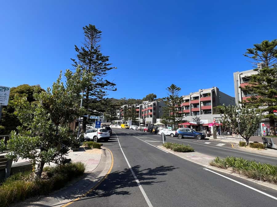 Melbourne: Great Ocean Road Full Day Private Tour - Who This Great Ocean Road Private Tour Is Best For