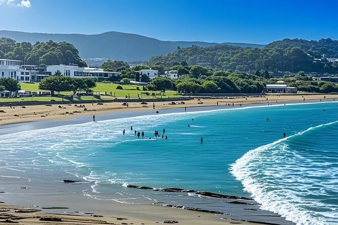 Melbourne: Great Ocean Road Luxury Coach Reverse Tour - Great Otway National Park stop: koala chances, waterfalls, and old trees