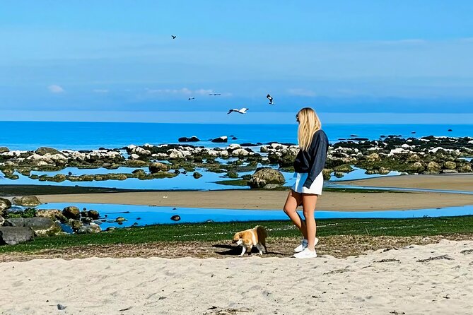 Melbourne: Great Ocean Road Luxury Coach Reverse Tour - The Twelve Apostles: your big one-hour window for perfect timing