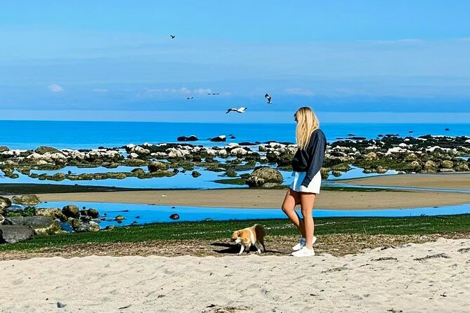 Melbourne Great Ocean Road Reverse Tour + London Bridge wildlife - Twelve Apostles viewpoints: how to make 45 minutes count