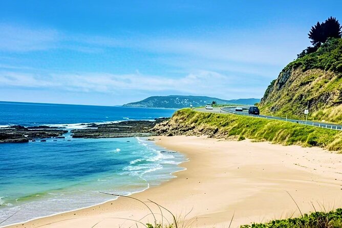 Melbourne Great Ocean Road Reverse Tour + London Bridge wildlife - Loch Ard Gorge: shipwreck cliffs and your first big coastal hits