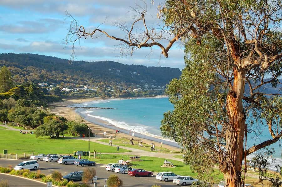 Melbourne: Great Ocean Road to 12 Apostles via the Coastline - Price and pacing: what $23 gets you on a 12-hour day