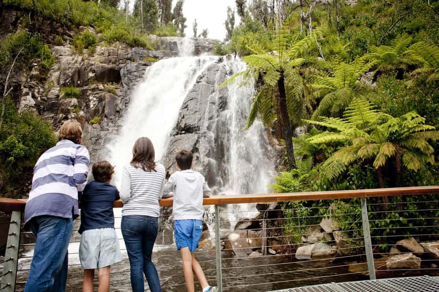 Melbourne: Lake Mountain Snow Day and Waterfalls & Chocolate - Why This Winter Day Trip Works So Well